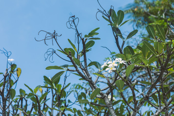 巴厘岛努沙杜瓦游玩,巴厘岛努沙杜瓦旅游攻略