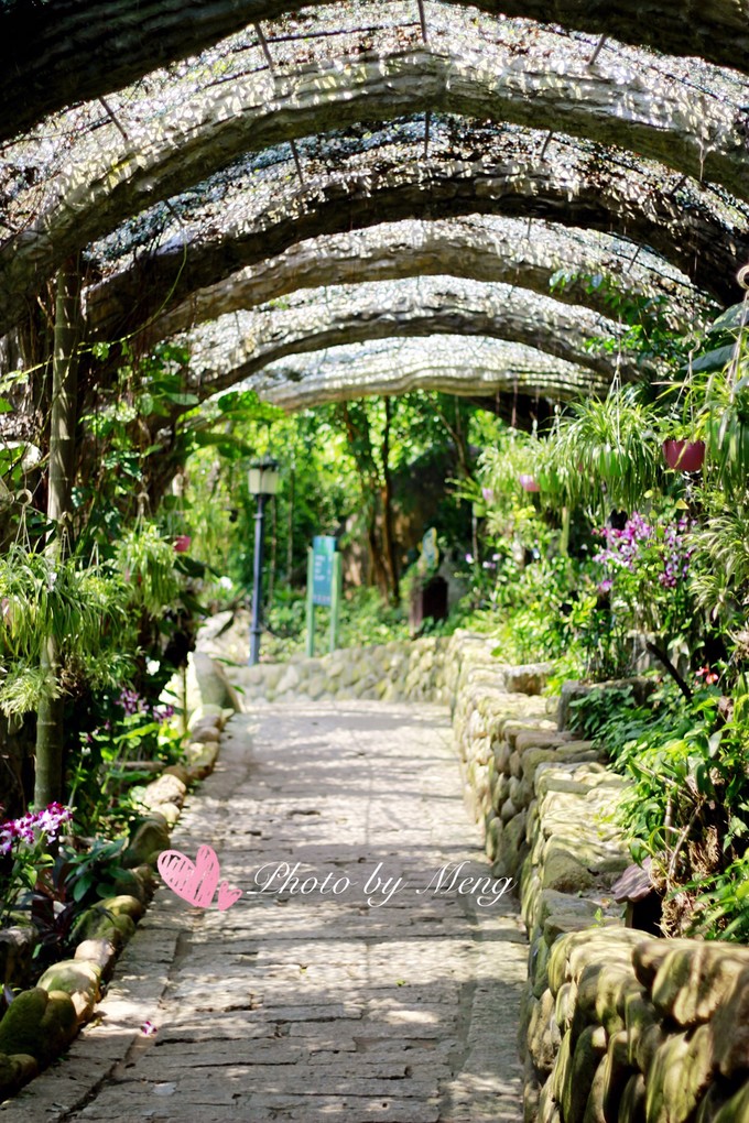 广州长隆动物园亲子游攻略三日游,珠海长隆海洋快速通道亲子游攻略