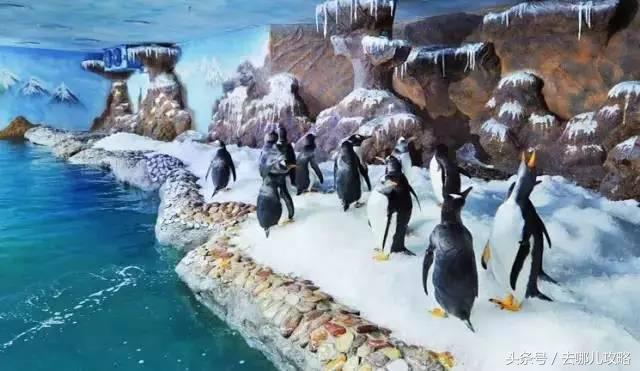 3小时免签小众海岛,能够免签的冷门海岛