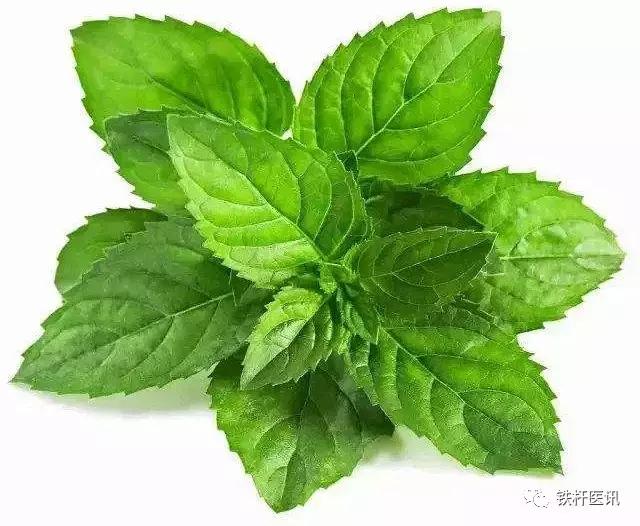 古今中医方剂学,古今药功奇术大全