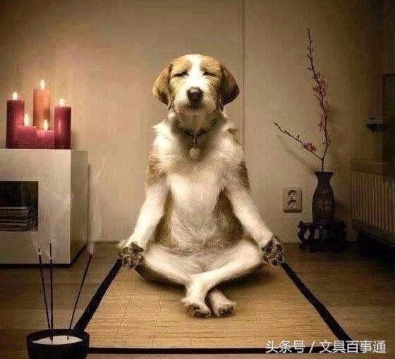 七夕单身又何妨，笔墨文具伴身旁