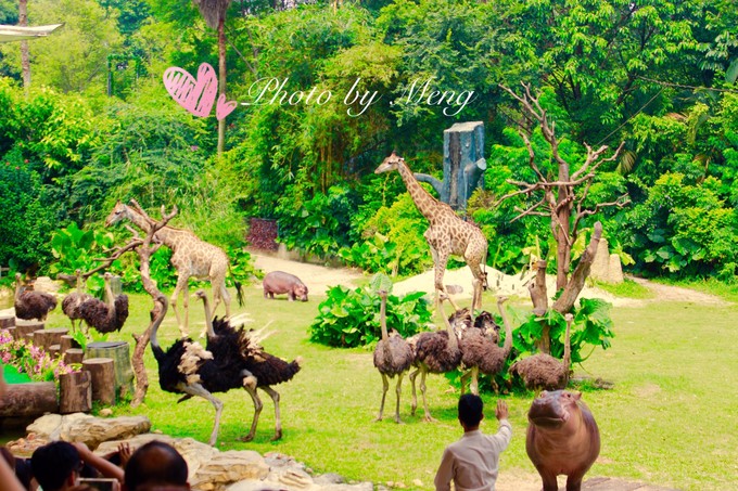 广州长隆动物园亲子游攻略三日游,珠海长隆海洋快速通道亲子游攻略