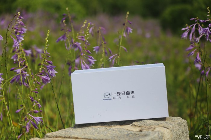 新款马自达cx-4车模型,马自达cx-4后备箱细节图