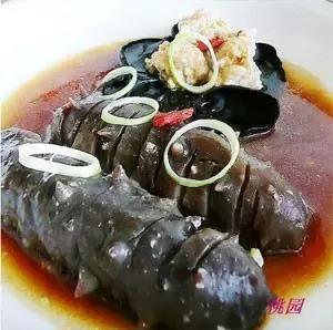 海参补什么营养最好吃,海参食谱大全与功效