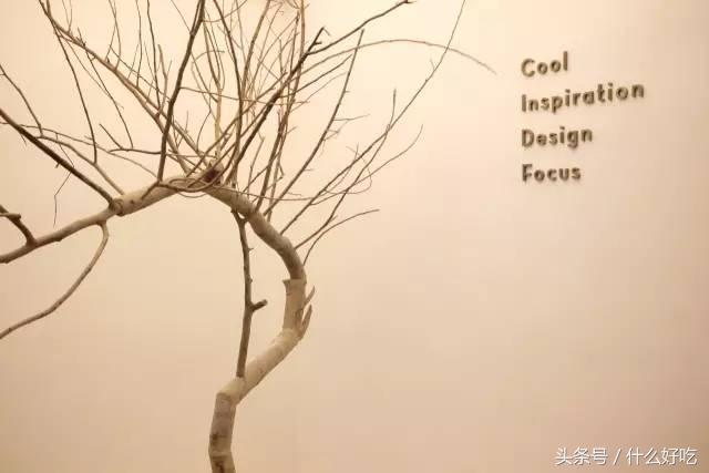 历时一个半月喝完31个品种，这份喜茶茶饮攻略值得你收藏