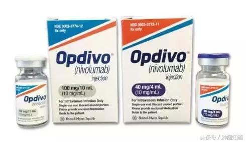 免疫治疗早期肝癌的治愈率 (肝癌联合免疫治疗效果好吗)