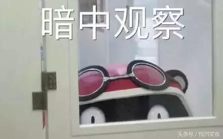 定了！从8月21日起，株洲朋友们出境“买买买”将受限！