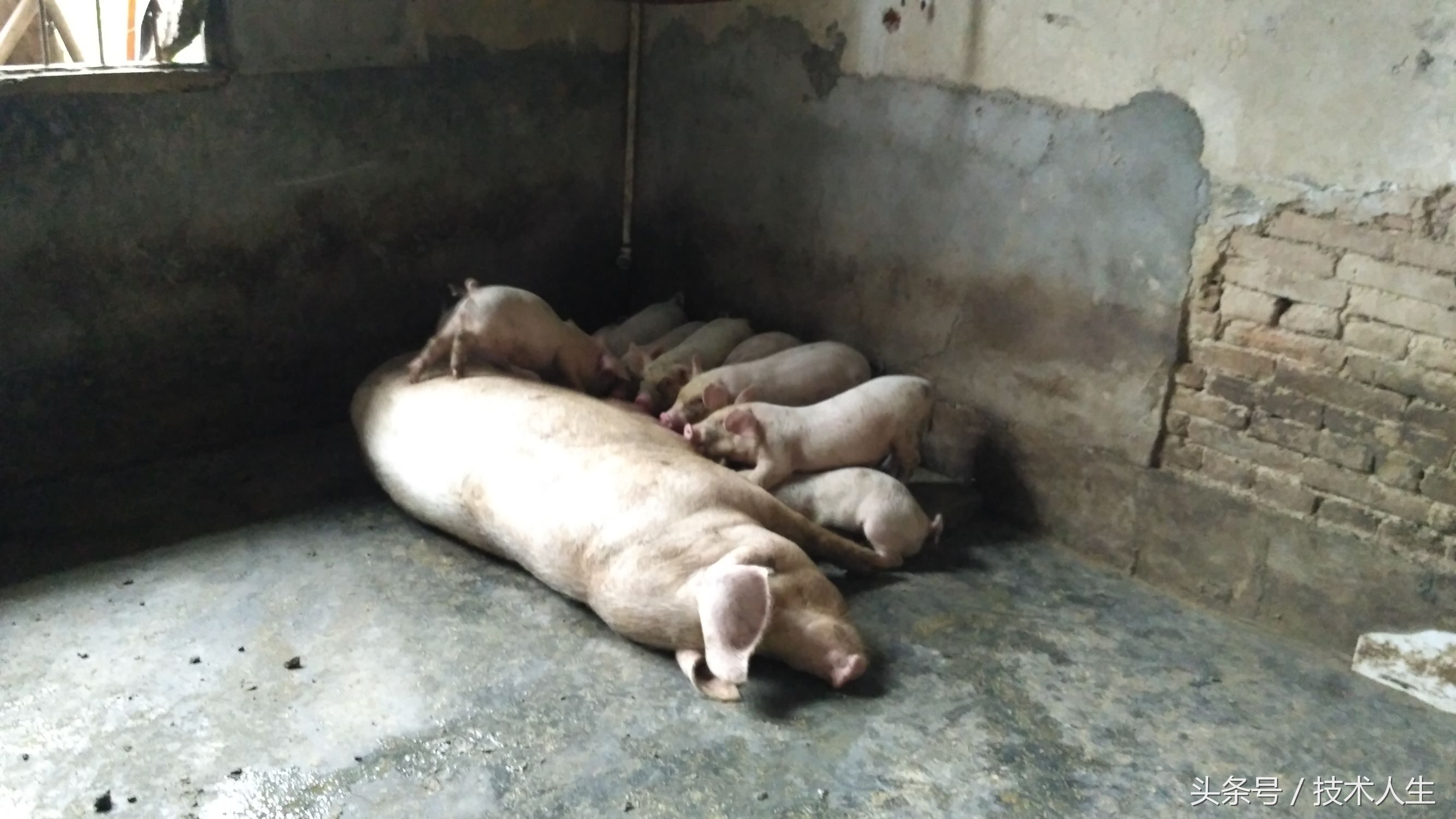 修电视把其他地方修坏了,修电视的坑