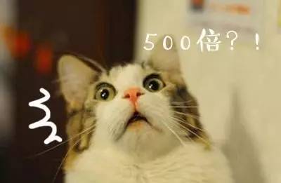 含有虾青素的狗粮幼犬,合适贵宾补钙的狗粮