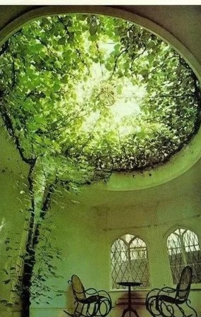 把植物墙请到家里来