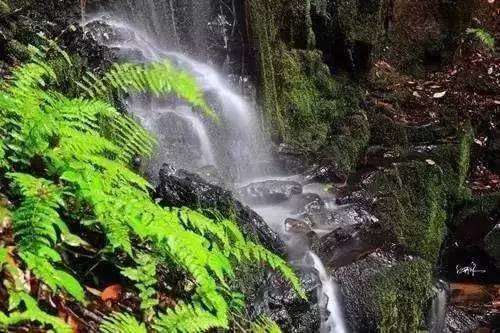 昆明超全的夏天避暑攻略,昆明古滇有趣的夏天避暑特点