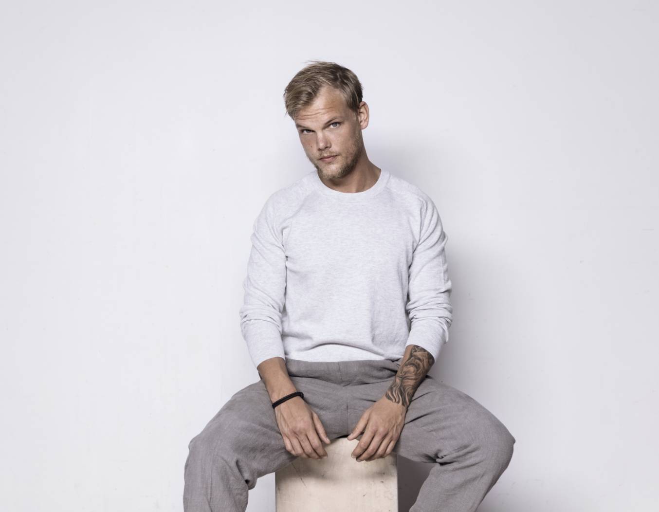 鸽子王来了新消息,鸽王回归了吗