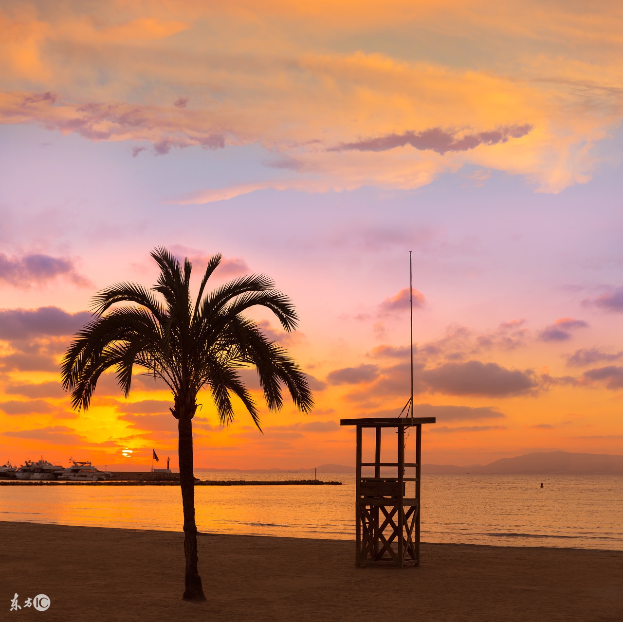 初中最简单易懂的英语语法书,合适学生看的英语语法