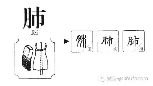 易写错100个常见字,常见字读错字写错
