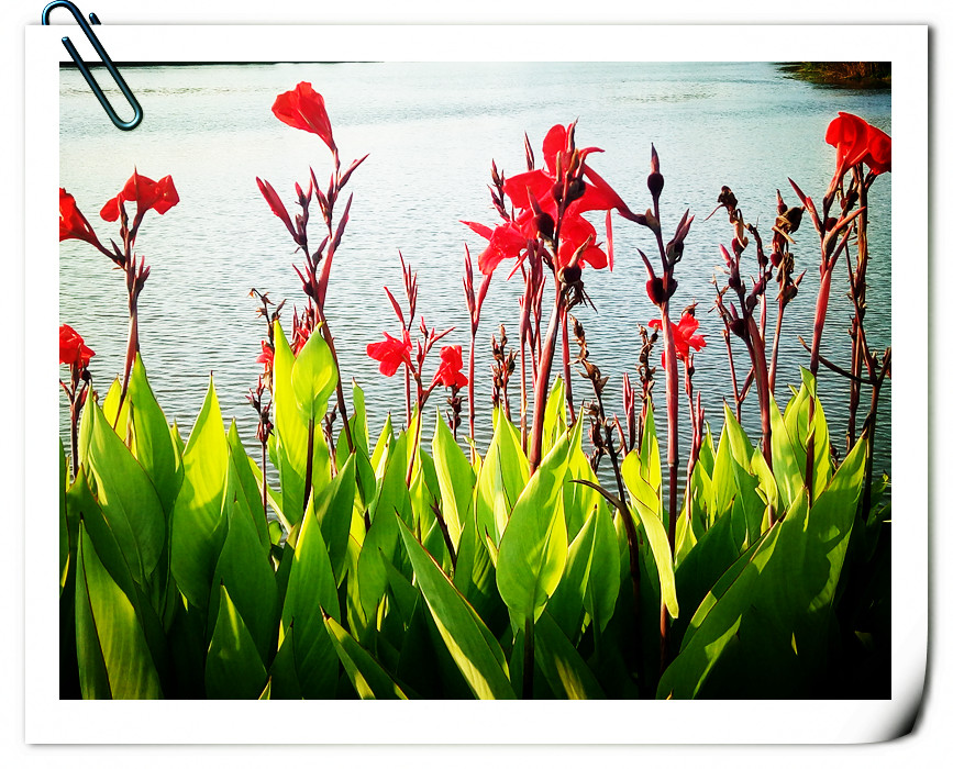 人际关系胸襟格局的经典语录,做人需要做到的人际关系