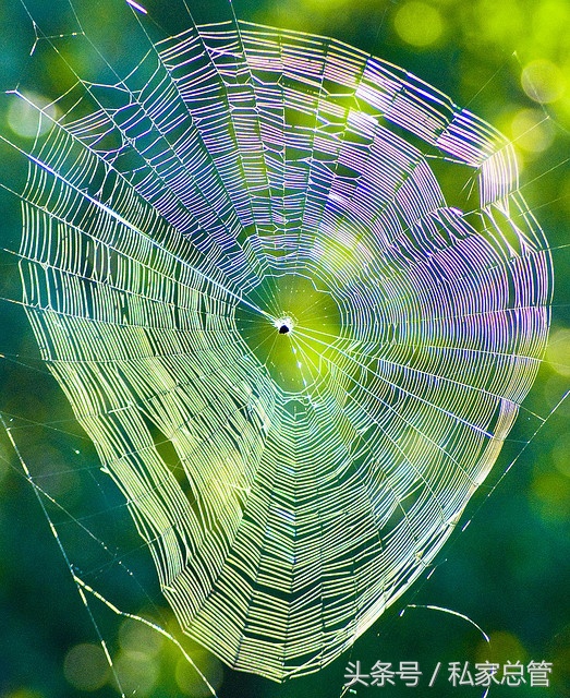 爱一个人陷于才华忠于人品,爱一个人始于颜值敬于爱情