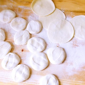 白菜饺子韭菜水饺的做法,韭菜肉虾仁饺子谁家的最好吃