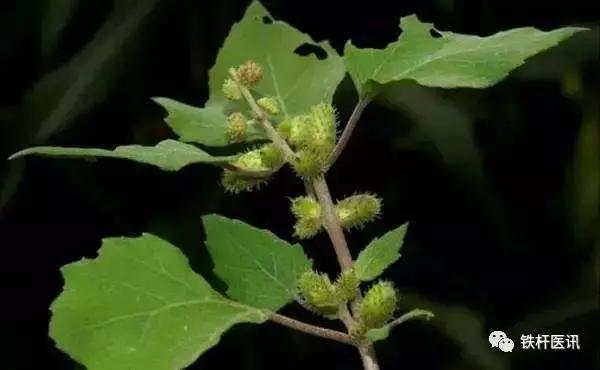 古今中医方剂学,古今药功奇术大全