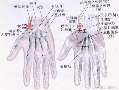 止疼万能穴图解,穴位养生十二原穴可治疗一切疼痛