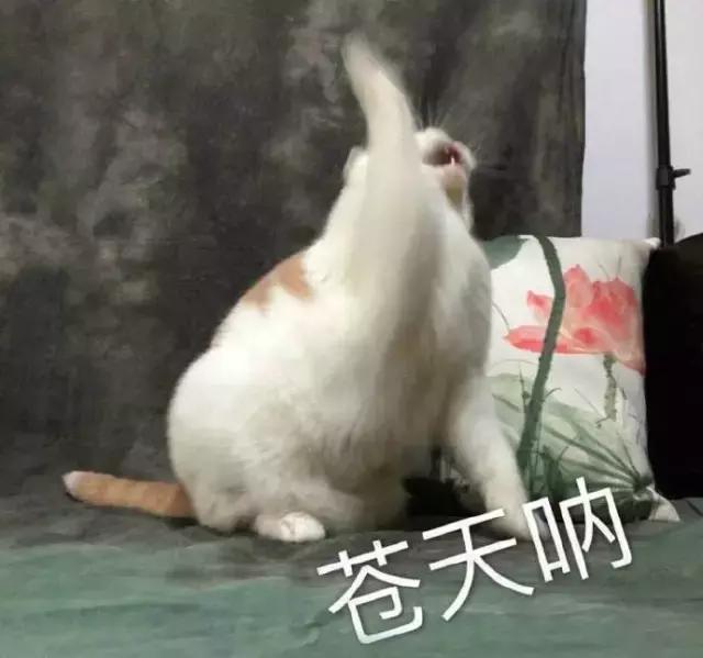 大表姐刘雯同款优衣库 (刘雯穿搭2018优衣库)