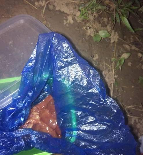 夜钓鱼有什么危害,夜钓的十个秘诀