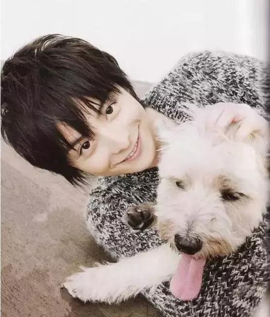 日本犬系男生代表男星,犬系日本男明星