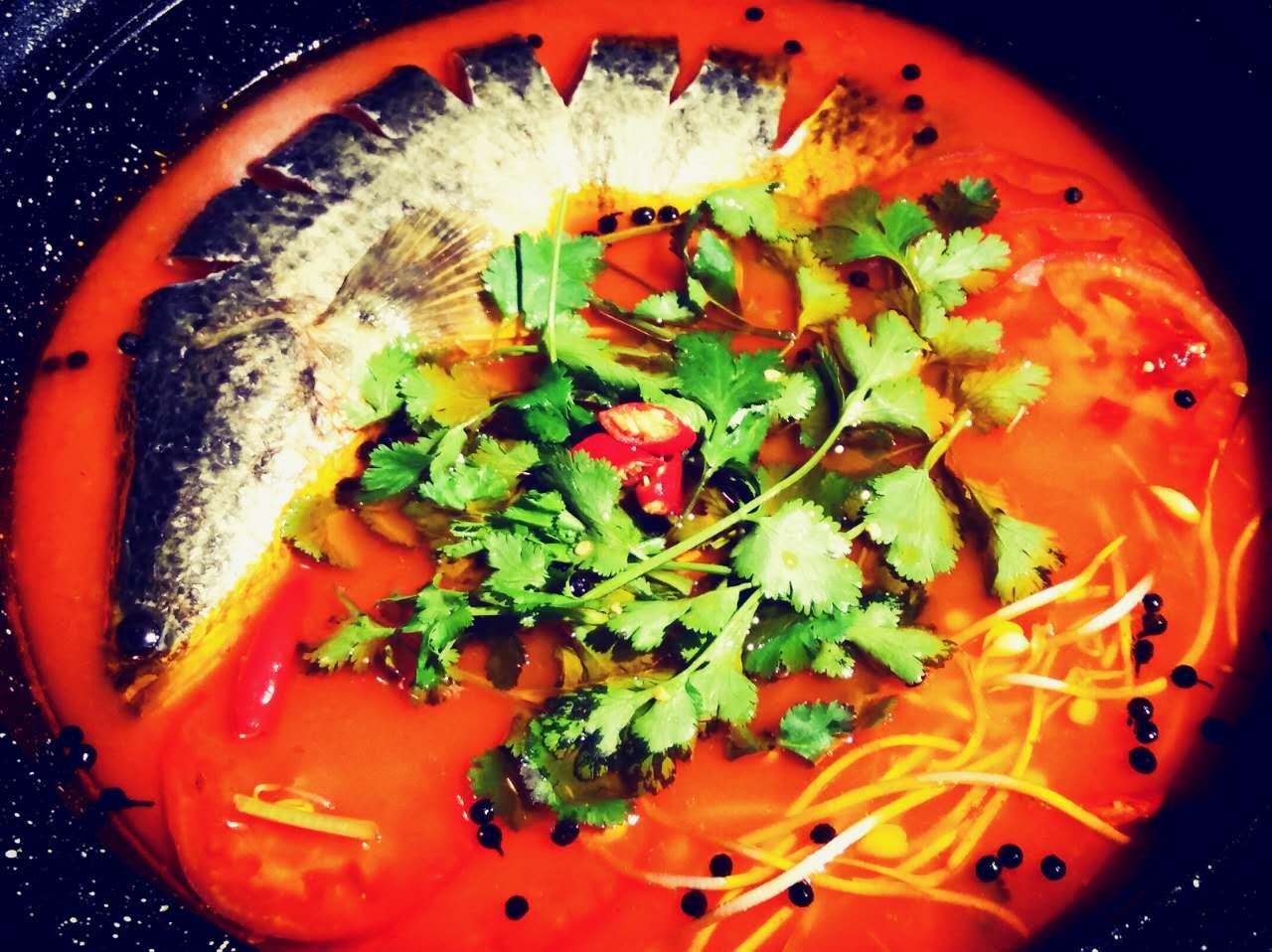 分享一下贵州凯里酸汤鱼,猫爷讲历史