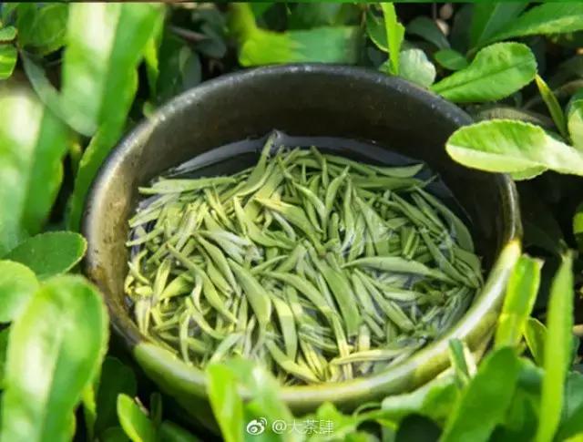 中国十大名茶的产地是哪里,中国十大名茶最新排名及价格