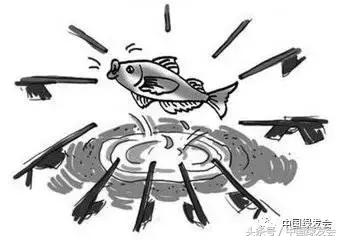 6种鱼不能随便吃容易判刑,别吃这种鱼存在健康隐患