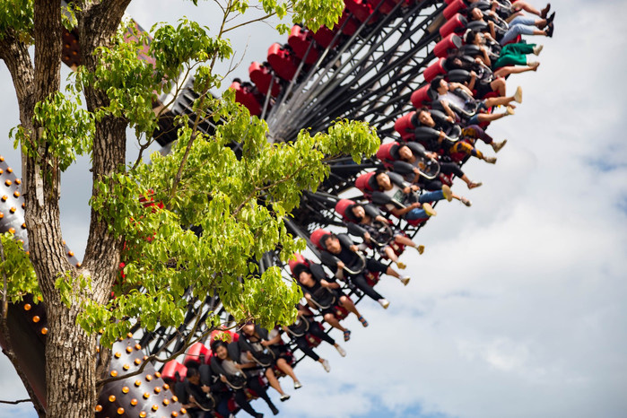 各种花样玩法大全,花样的玩法后续