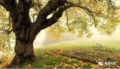 厚黑学目的是让人厚道还是厚黑,厚黑学五个厚黑秘诀