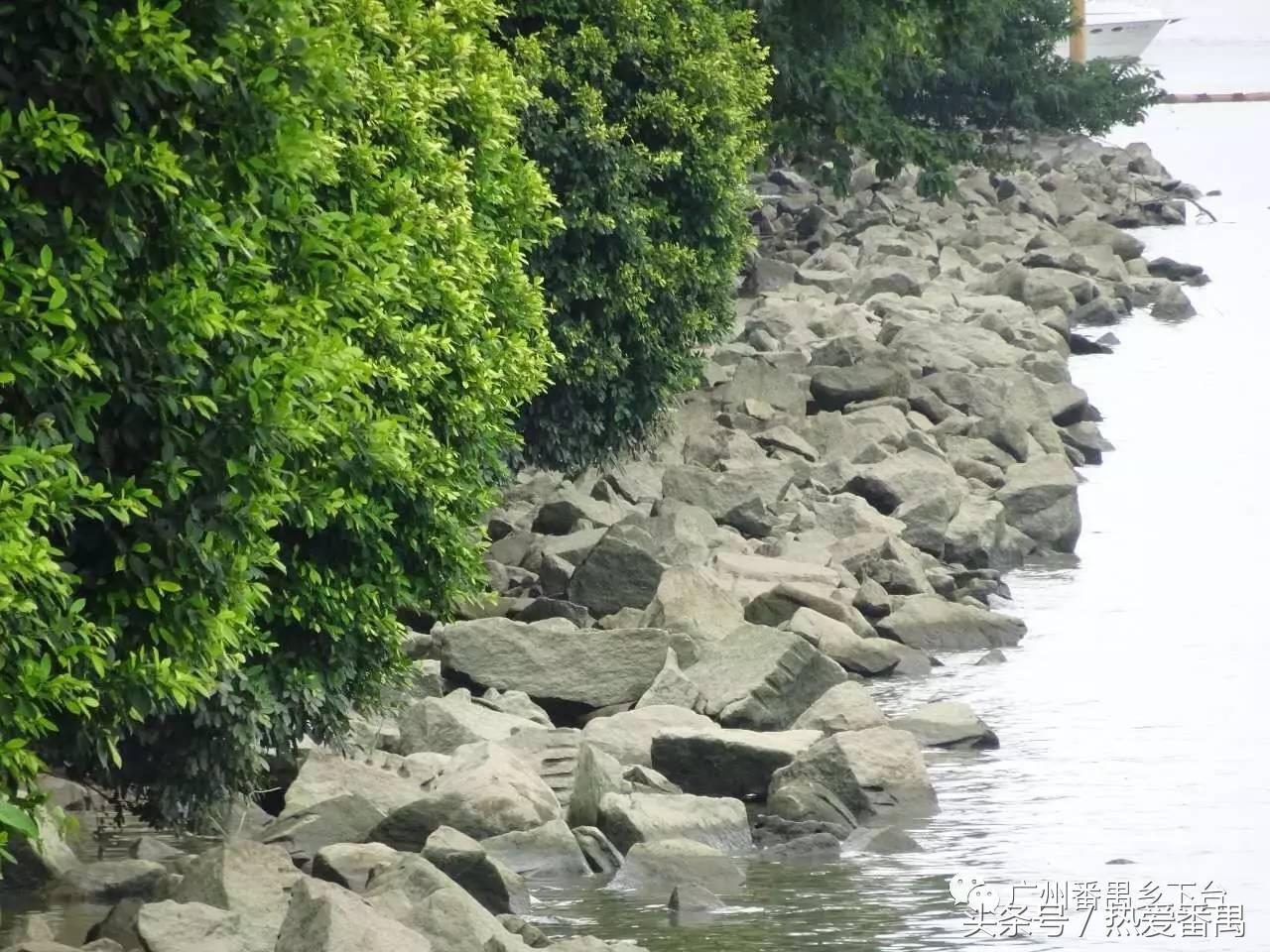 洛溪大桥为啥有个名字,洛溪大桥为什么叫洛溪大桥