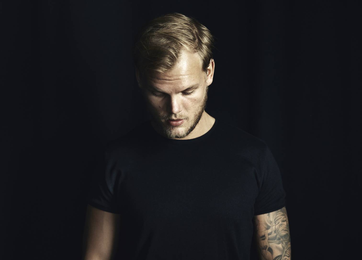 鸽子王来了新消息,鸽王回归了吗