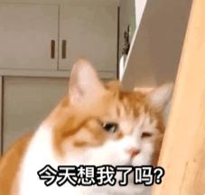 马云爸爸发福利啦！护肤品专场！手慢无！快来保护我方脸脸！