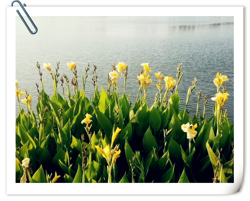 人际关系胸襟格局的经典语录,做人需要做到的人际关系