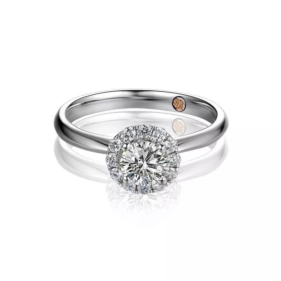 鏄庢槦鍚屾绉嶈崏濂界墿,鏄庢槦绉嶈崏鎺ㄨ崘