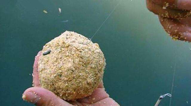 水库野钓鲤鱼饵料经典配方,自制野钓鲤鱼草鱼什么饵料最佳