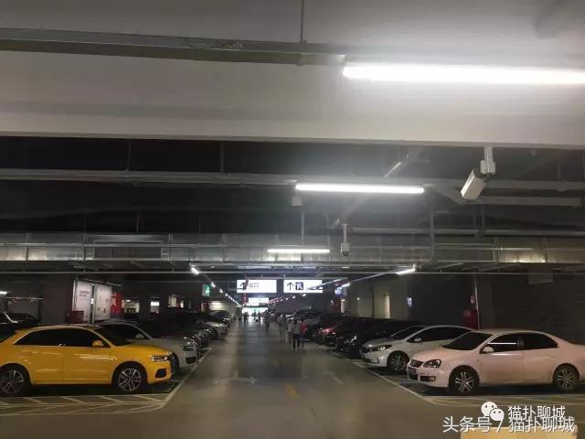 带聊城网友提前感受济南宜家的魅力，不仅人多购买力也爆棚