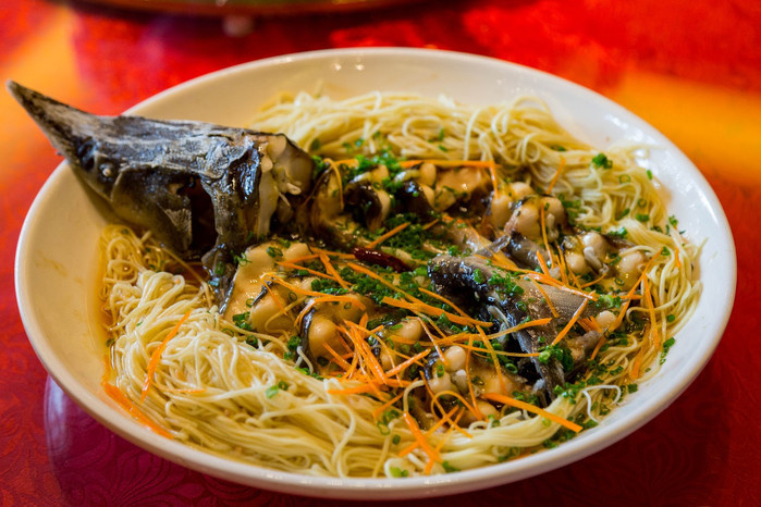 各种花样玩法大全,花样的玩法后续