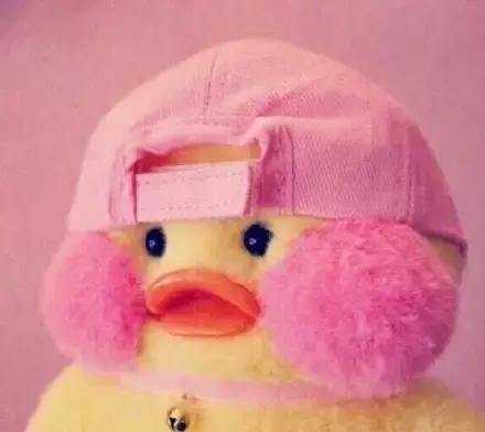 玻尿酸鸭表情图片（有字+无字）好可爱！