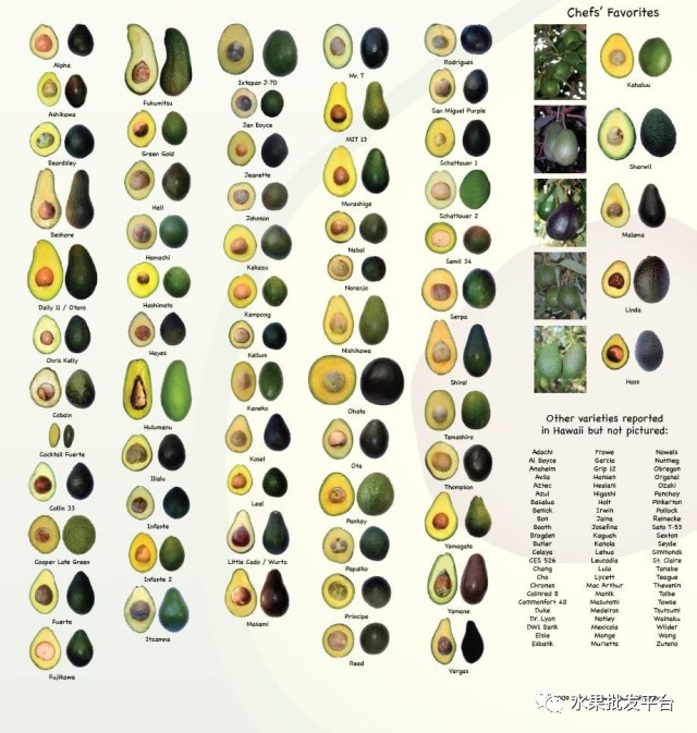 牛油果广告洗脑,关于牛油果标签