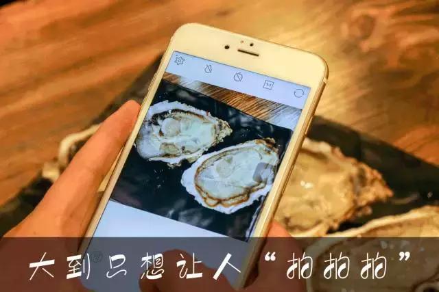 武汉金银湖合适请客吃饭的餐厅,武汉合适十几个人聚餐的餐厅