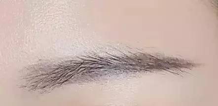 从太子妃到捕快黑羽，可攻可柔的张天爱是怎样炼成的？