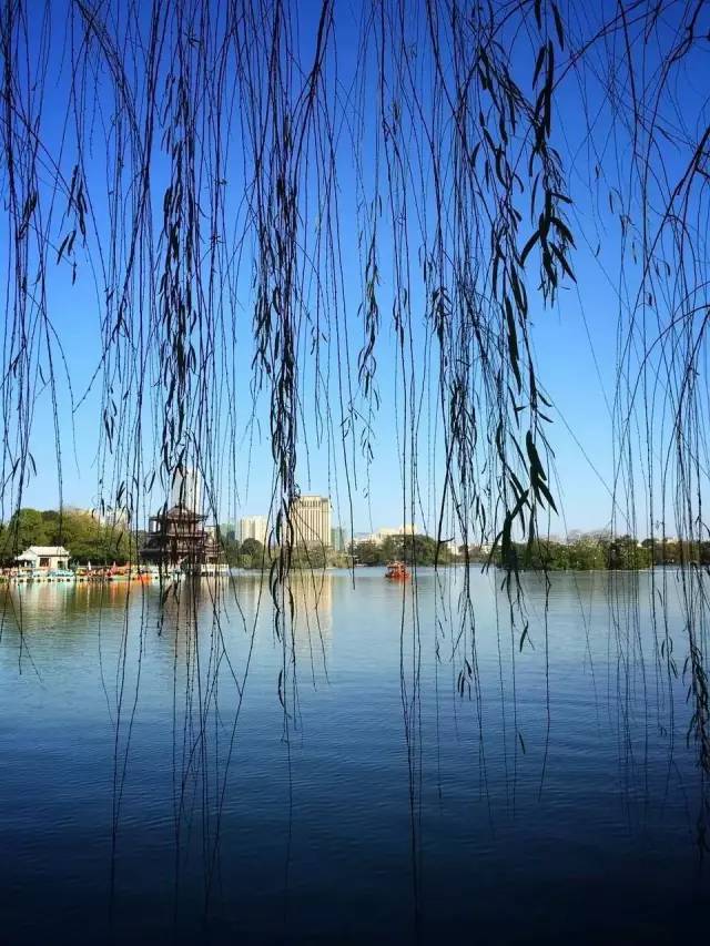 你好！我的名字叫惠州，这是我的名片