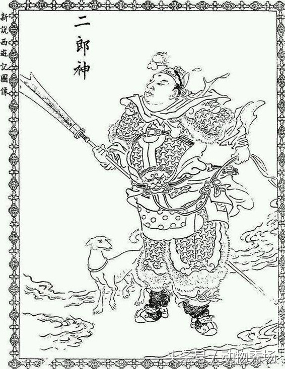 哮天犬是哪个品种的狗,天狗食月哮天犬是什么品种