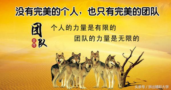 腾讯文档怎么提取文字,新版qq提取文字功能怎么用