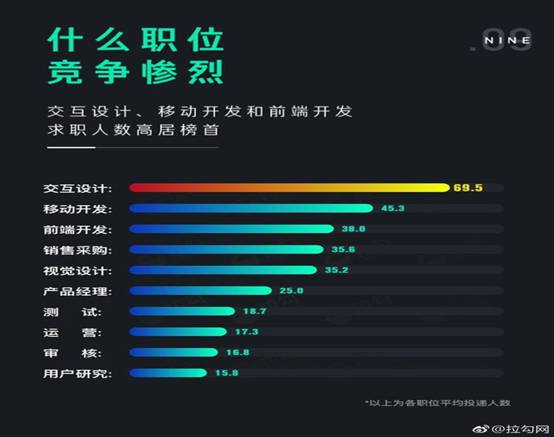 大三一位计算机专业学生的《献给所有迷茫的飞猪》