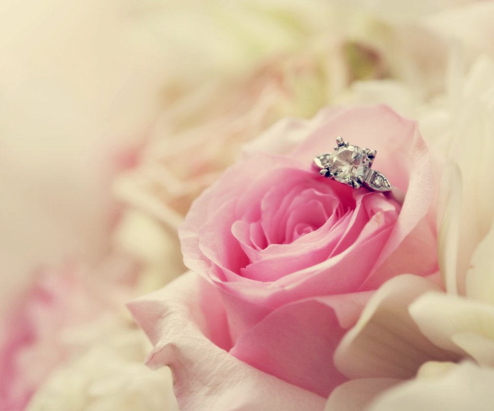 七夕送花送什么颜色的玫瑰花,七夕节送花送哪种玫瑰