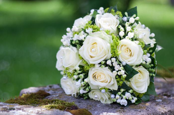 七夕送花送什么颜色的玫瑰花,七夕节送花送哪种玫瑰