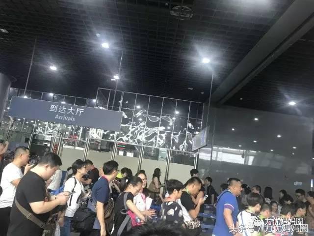 最合适亲子的邮轮游,邮轮游的优缺点